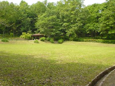 ���܂����̂���